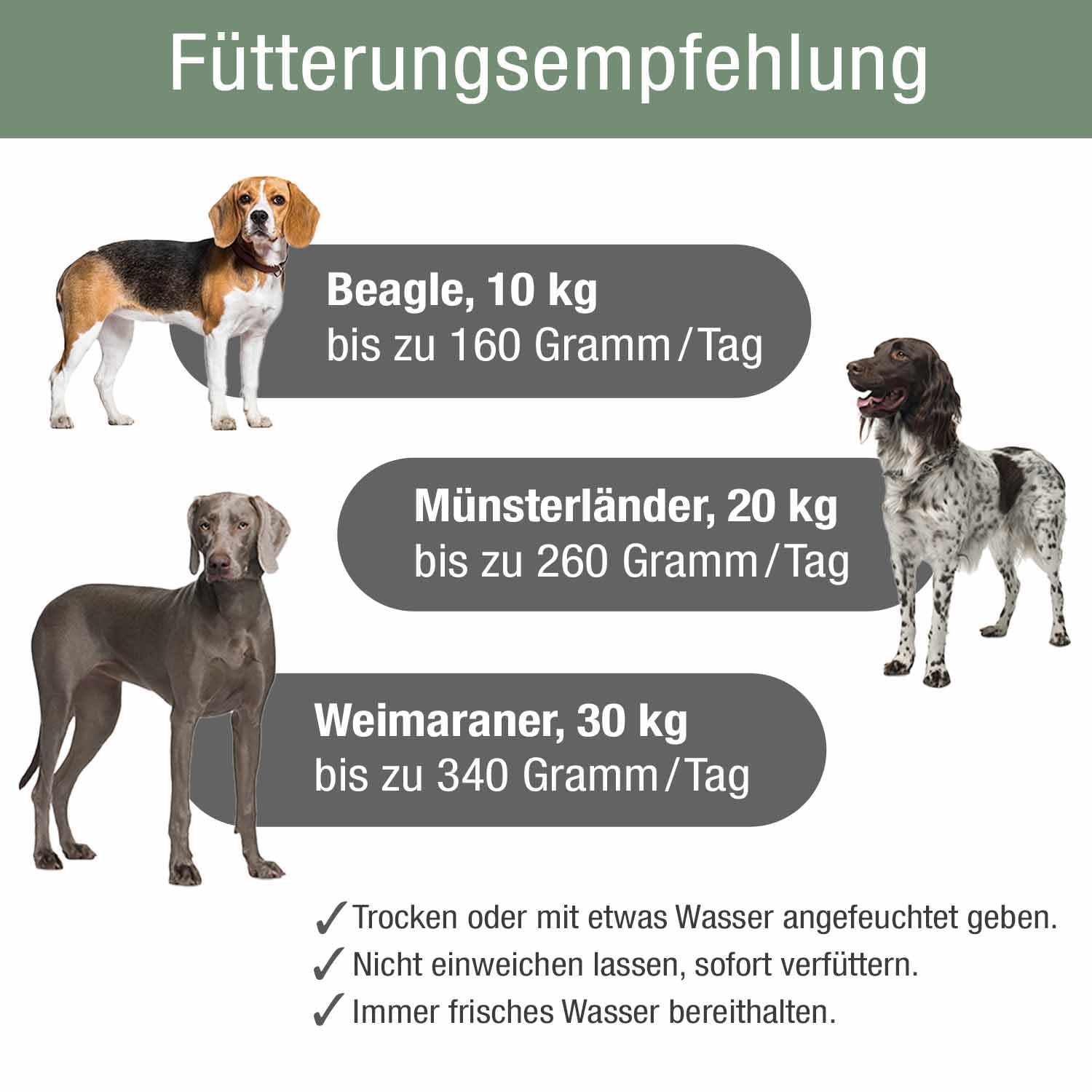 PLATINUM - Hundefutter Adult Lamb aus FSG - 5 kg, trocken | Saftiges Trockenfutter aus Frischfleisch für kleine & große Hunde - nährstoffreich - leicht verdaulich - in DE geprüft