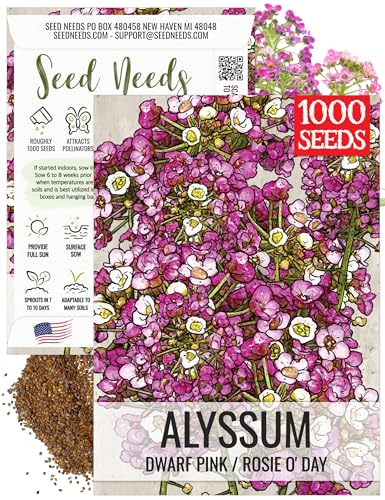 Seed Needs Dwarf Pink Alyssum Seeds for Planting -...