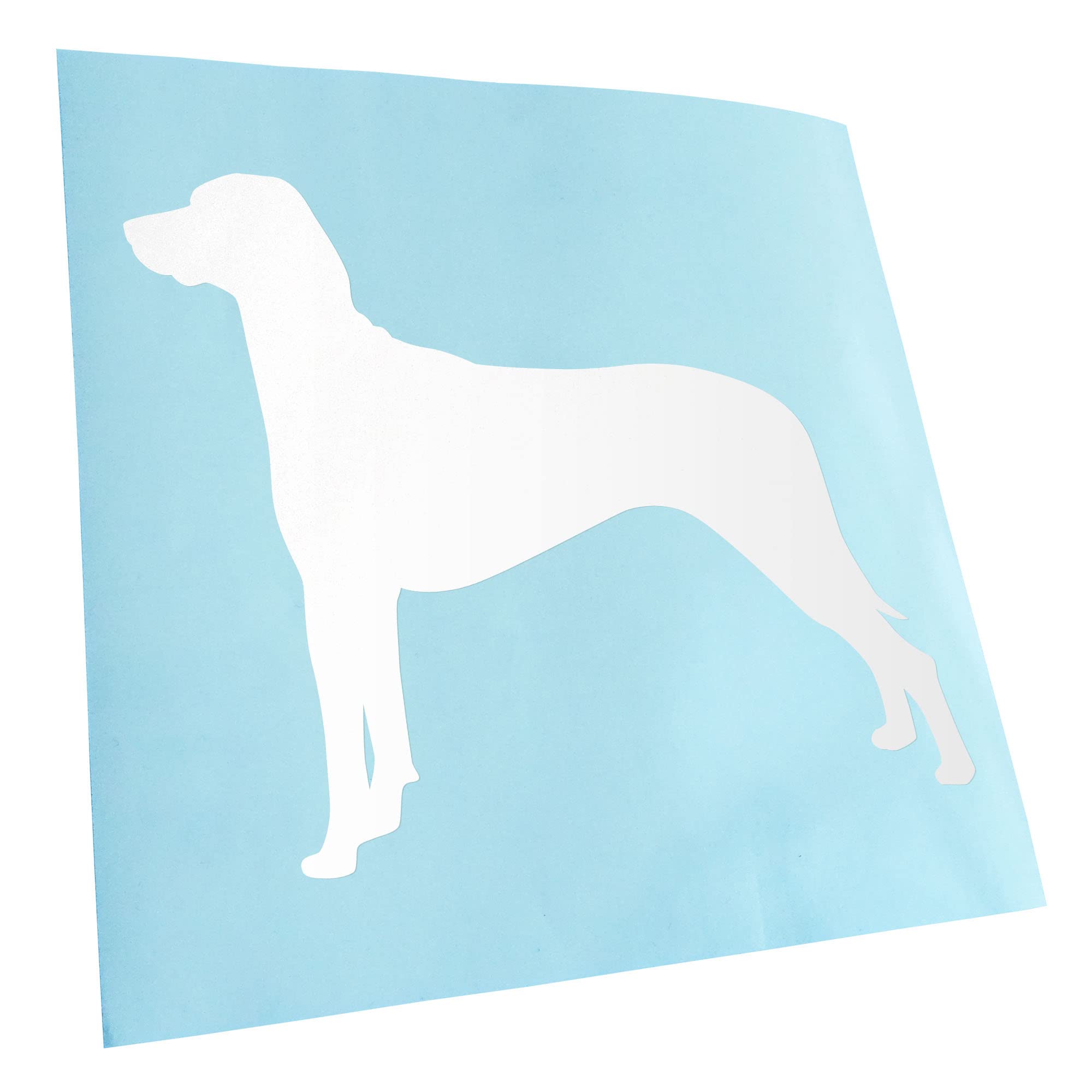 Kiwistar - Car Sticker - White - 40 x 33 cm Ridgeback Rhodesian Dog - Rear Window Car Sticker Weatherproof for Car Truck Moped Truck - Sticker Exterior Self-Adhesive Tuning Accessories for Window