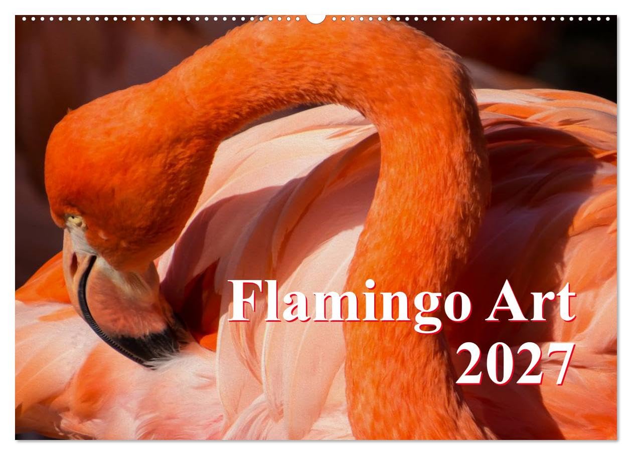 CALVENDO - Flamingo Art 2027 (Wandkalender 2027 DIN A2 quer), Monatskalender: Flamingo Art - Ein absoluter Blickfang im Büro und zu Hause