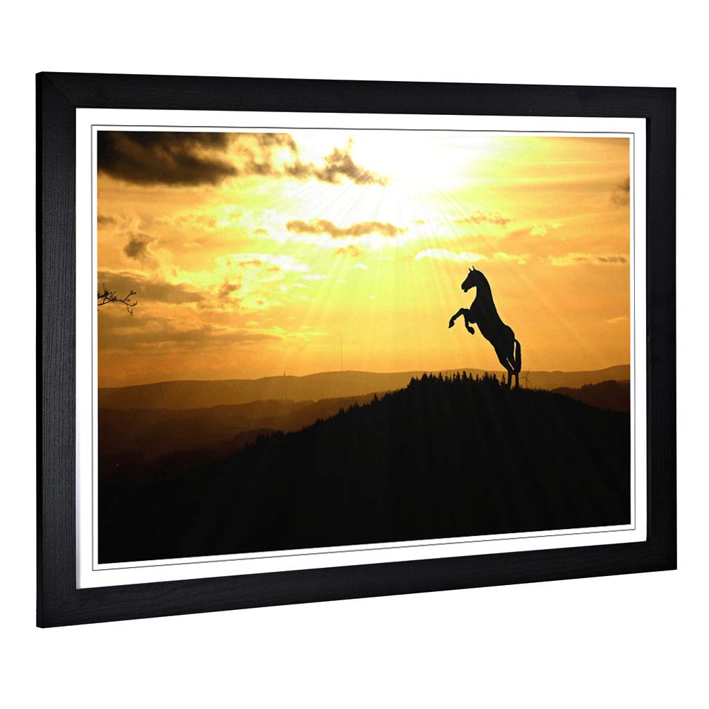 Big Box Art Framed Print of Horse in Sunlight Landscape Design | Wall Art Picture | Home Decor for Kitchen, Living, Dining Room, Bedroom, Hallway, Office, Black, A2 / 24.5x18 Inch / 62x45cm