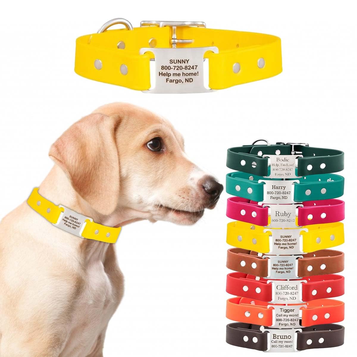 dogIDs Personalized Dog Collar – ScruffTag Custom Waterproof Biothane Dog Collar with Laser-Engraved Name, Durable & Odor-Resistant – USA Made |