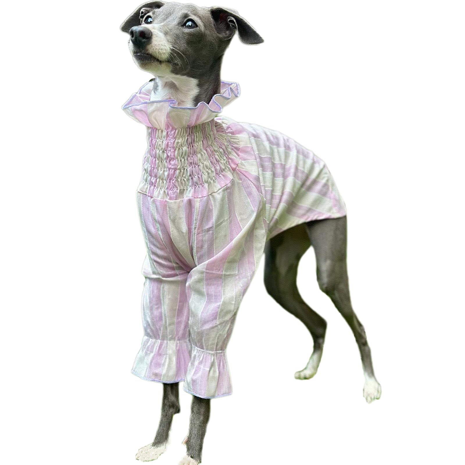 Camisa de Galgo Italiano Camiseta de Perro de niña Linda Jersey de Perro Suave y Fresco Mangas largas Raya Transpirable Ropa de Perro Primavera Verano Pijama de Perro Fiesta de Bodas