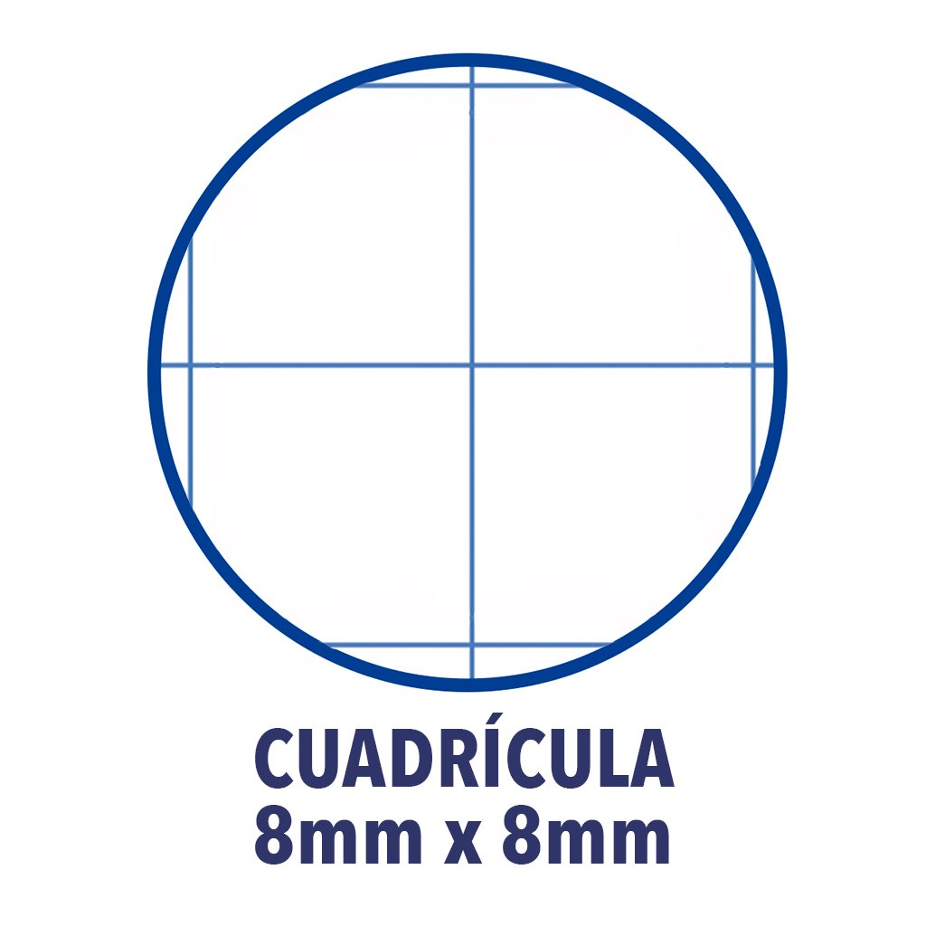 Oxford Classic Pack of 10 File grapadas, Paperback, A5 +, 8 x 8 °C/M