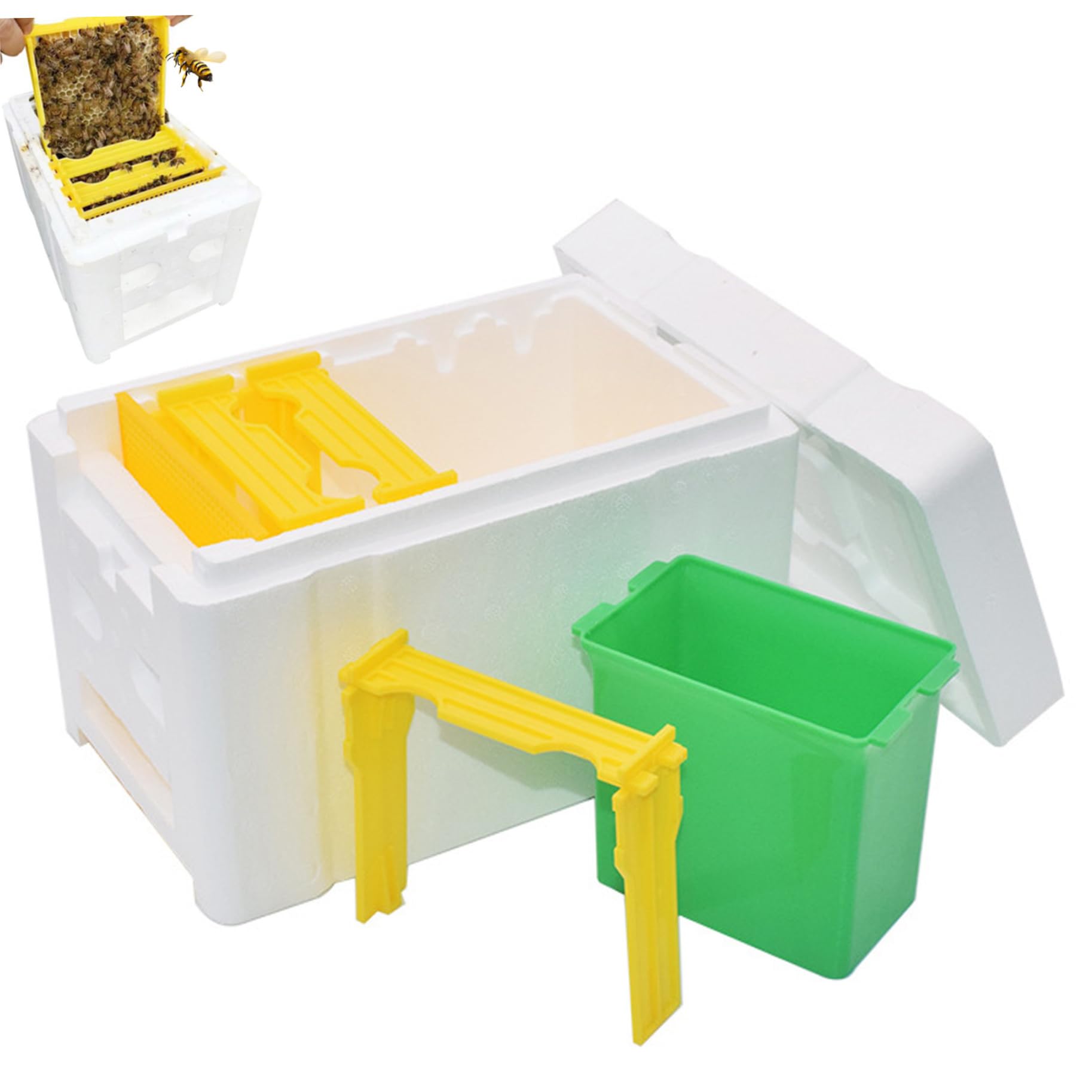 Cajas de Abejas con alimentador de Agua, Caja de Colmena de Abejas de 3 Cuadros con Puerta de cuadrícula, Caja de Bee Mini Caja de Espuma para Abejas, Suministros de Colmena de Abejas para el Ap