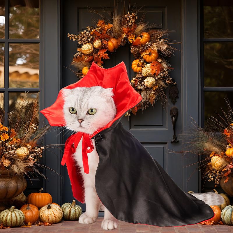 Disfraz capa vampiro para gato Halloween ajustable rojo negro miniatura 2