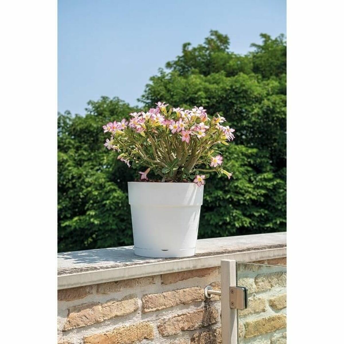 hay blumenkasten Panacea Window Planter, 36 Inch main image 0