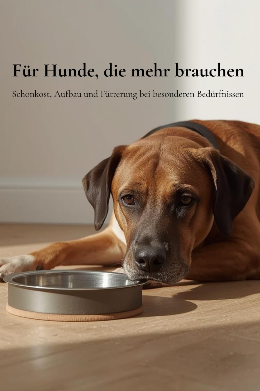 Für Hunde, die mehr brauchen: Fütterung und begleitende Impulse für sensible Hunde