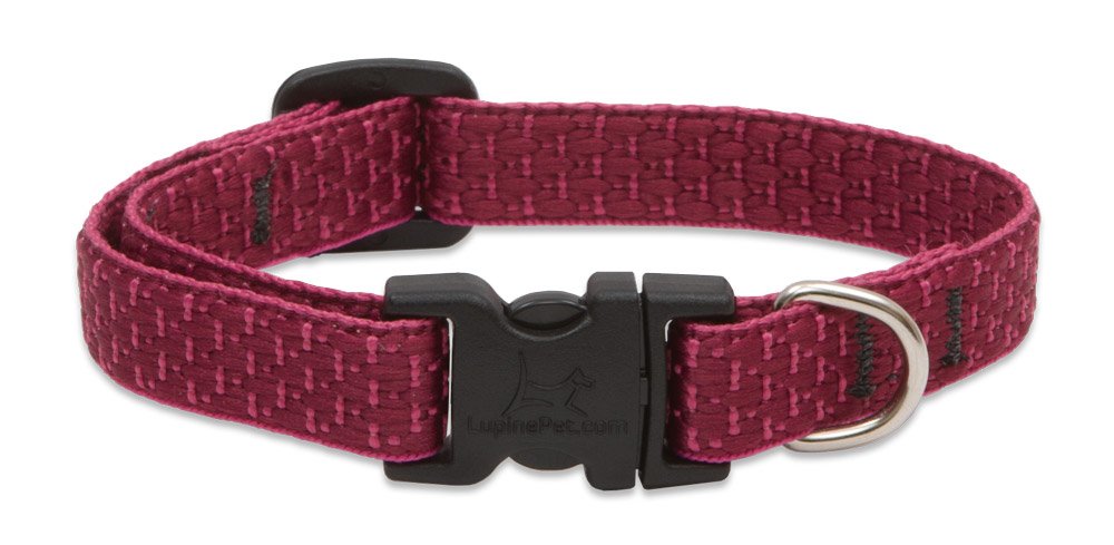 Collier Lupine Eco fibre recyclée 1,27 mm pour témoigner votre amour à votre fidèle compagnon