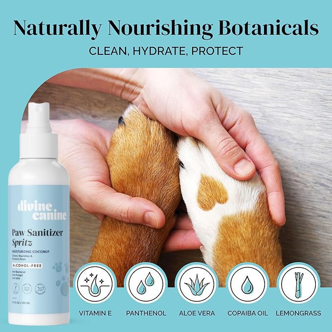 Image of Dog Paw Cleaner Spray - Coconut No-Rinse Wash - 5.1 Fl Oz | Alcohol-free coconut dog paw cleaner spray with aloe, copaiba & lemongrass to clean paw pads after walks - no rinse