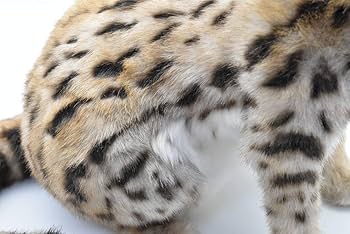 Amazon.co.jp: BH7373 HANSA サーバルキャット 44 : おもちゃ