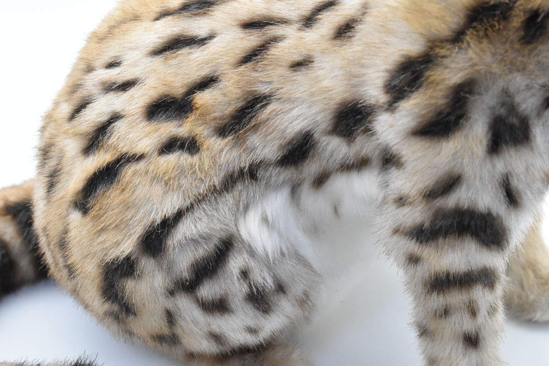 サーバルキャット　毛皮 サーバルキャット 毛皮