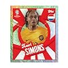 Topps Official EURO 2024 Sticker Collection - Full Box (100 packages) 6 stickers per pack (600 stickers)