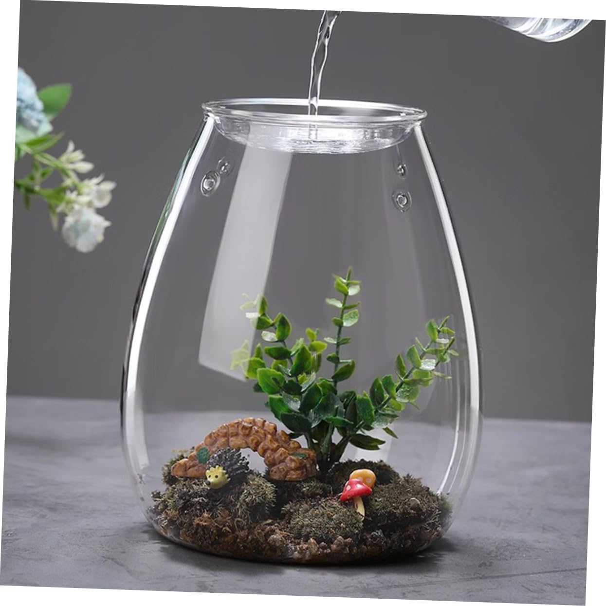 Balacoo Glass Plant Terrarium Eco Bottle Cover Hydroponic Vase Micro Landscaping for Home