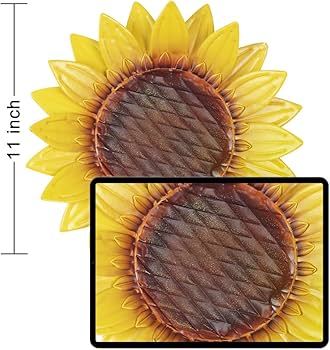 61N-jGDiO2L._AC_UF350,