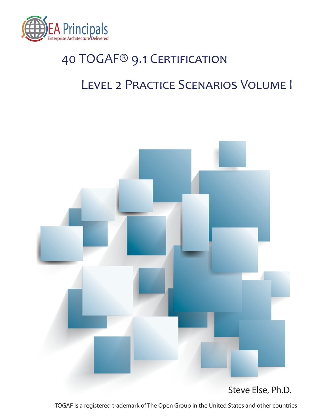 40 TOGAF 9.1 Certification Level 2 Practice Scenarios Volume 1 (TOGAF 9.1 Level 2 Practice Scenarios) 1st Edition
