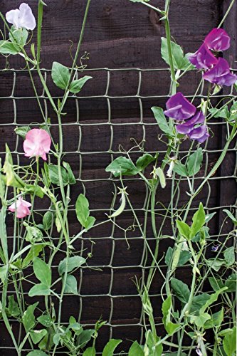 Apollo Gardening Ltd  - Valla de Estructura para cría de Animales