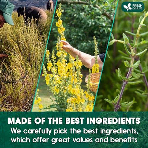 Image of FreshDrinkUS StrongerLungs 20 Tea Bags - Mullein Leaf, Ginseng, Elderberry, Ginger & Thyme - Supports Lung Cleanse, Congestion Relief & Mucus Detox - Caffeine-Free & All-Natural