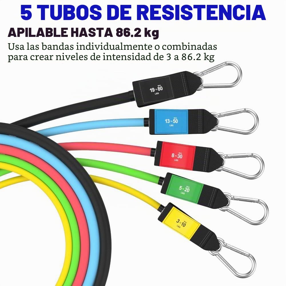Bodylastics - Juego de 12 bandas apilables de resistencia a la tensión, 14 piezas, 19 piezas y 31 unidades, incluye 5, 6, 7 o 12 de nuestras bandas de ejercicio de la mejor calidad, componentes resistentes, una bolsa y manual de usuario.