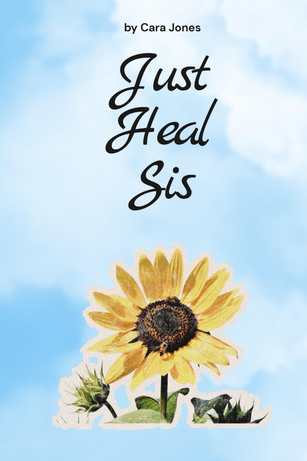 Just Heal Sis