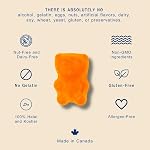 Multi+ Gummy for Kids - Allergen Free Vegan Vitamins and Nutrients - 120 Count of Halal Multivitamin Gummies (30 day supply)