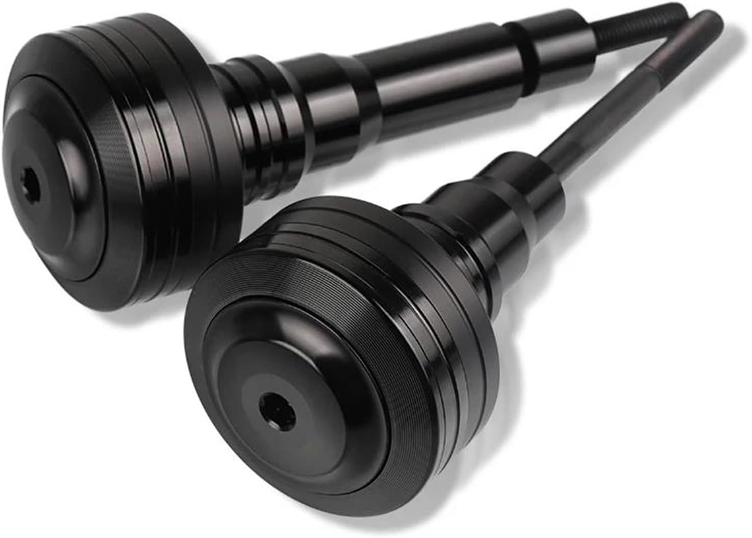 ト*シ様 F12062☆オークション☆超特大！ イラン産 アガベ