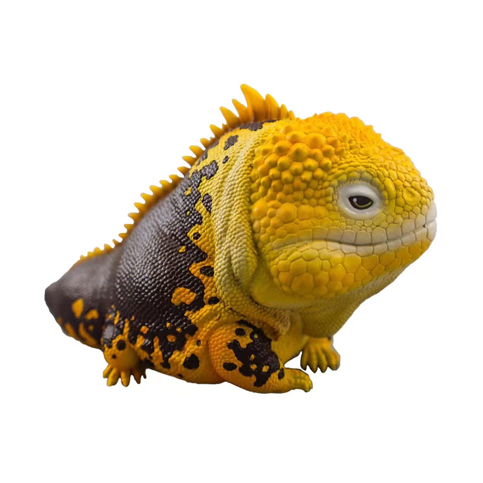 Amazon | 博物志 ガチャガチャ ブラインド ボックス トカゲ 有鱗目