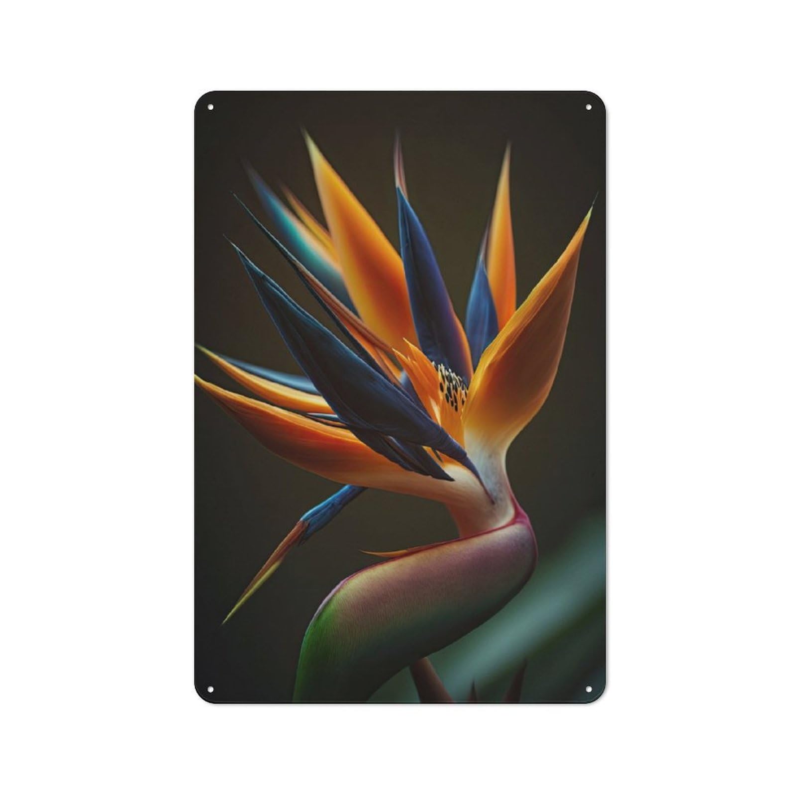 Junmoney Bird Of Paradise Everyday Metal Gift Sign 30X20cm, Room Wall Plaque For Home, Shop, Pub Or Studio Wall