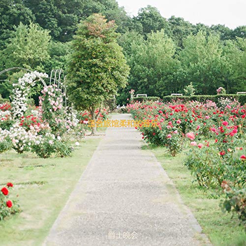 适合旅馆柔和的音乐 by 爵士晚会 on Amazon Music Unlimited