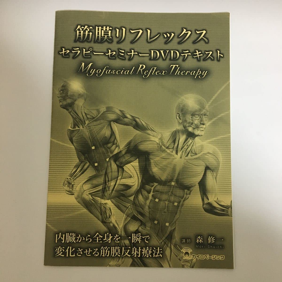 【筋膜リフレックスセラピーセミナーDVD】森修一 カイロベーシック Amazon.co.jp: スピード発送整体DVD3枚筋膜リフレックスセラピー