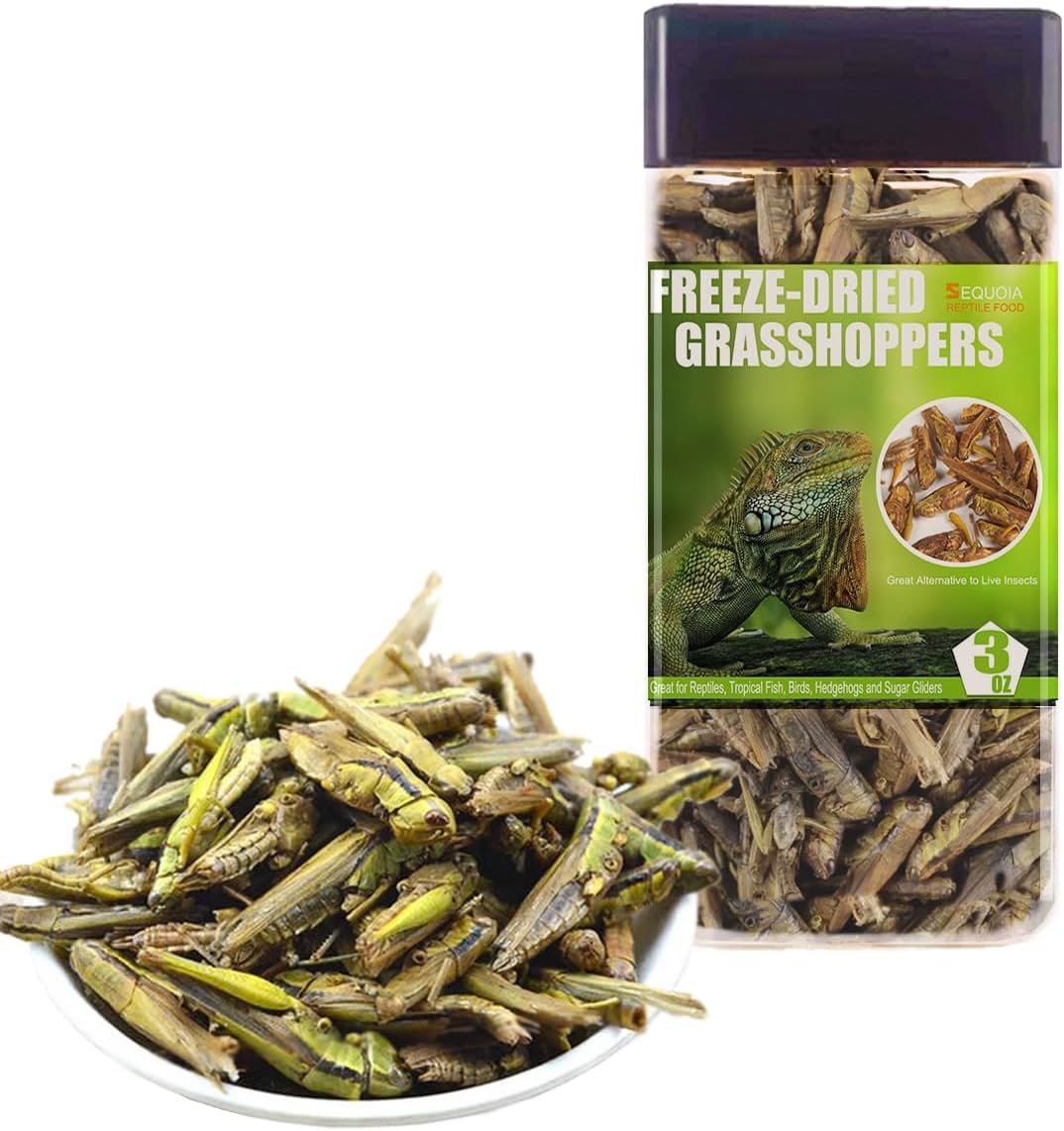 Tasty Freeze Dried Grasshopper Reptile Food for Turtles, Bearded Dragon, Hedgehog,Lizard, Chameleon, Birds (3 OZ)