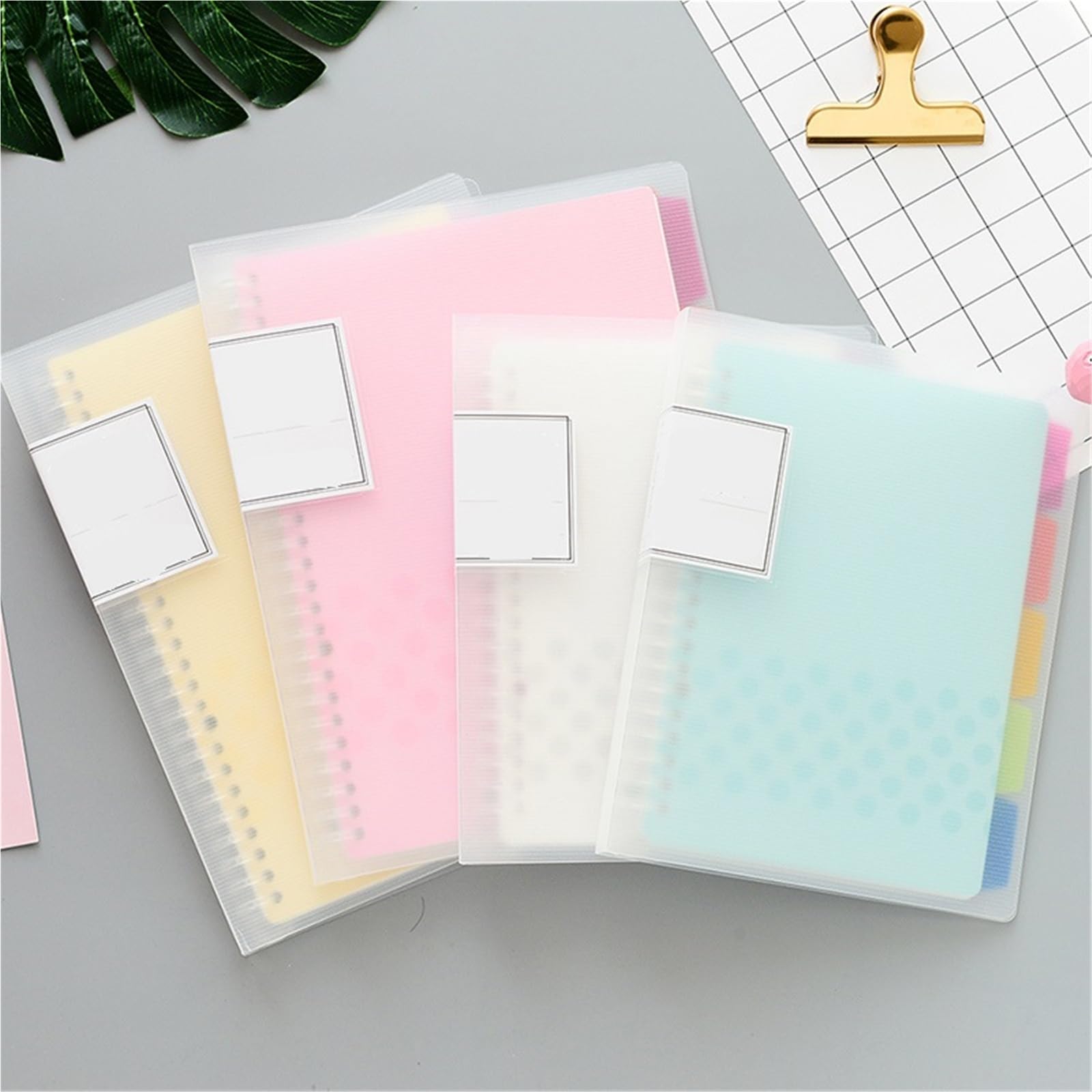 1 carnet de notes à feuilles mobiles pastel.