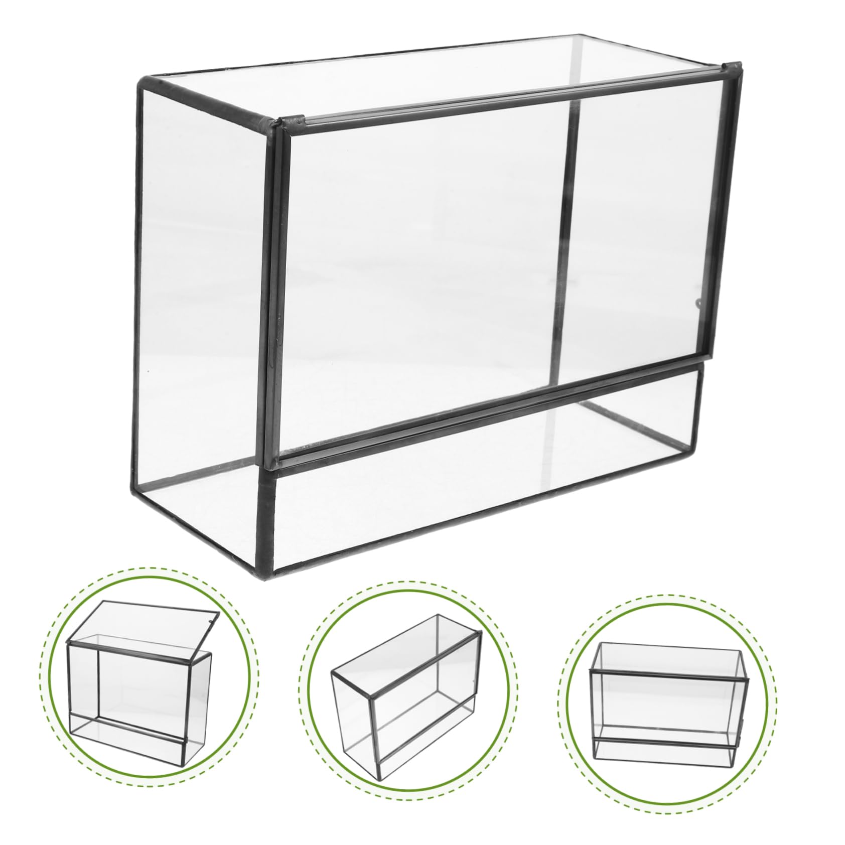 Terrario in Vetro per Micro Paesaggio, Contenitore Decorativo