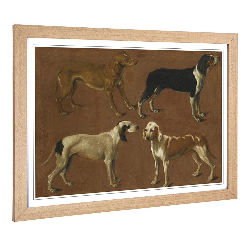 Big Box Art Framed Print of Jacques-Laurent Agasse Hounds Design | Wall Art Picture | Home Decor for Kitchen, Living, Dining Room, Bedroom, Hallway, Office, Oak, A2 / 24.5x18 Inch / 62x45cm