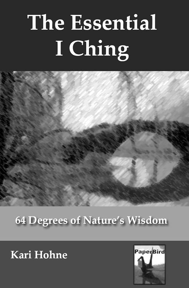 洋書 Intuitive Imagery SIGNED, CHRISTOPHER S. HYATT, UNDOING YOURSELF, ENGERGIZED