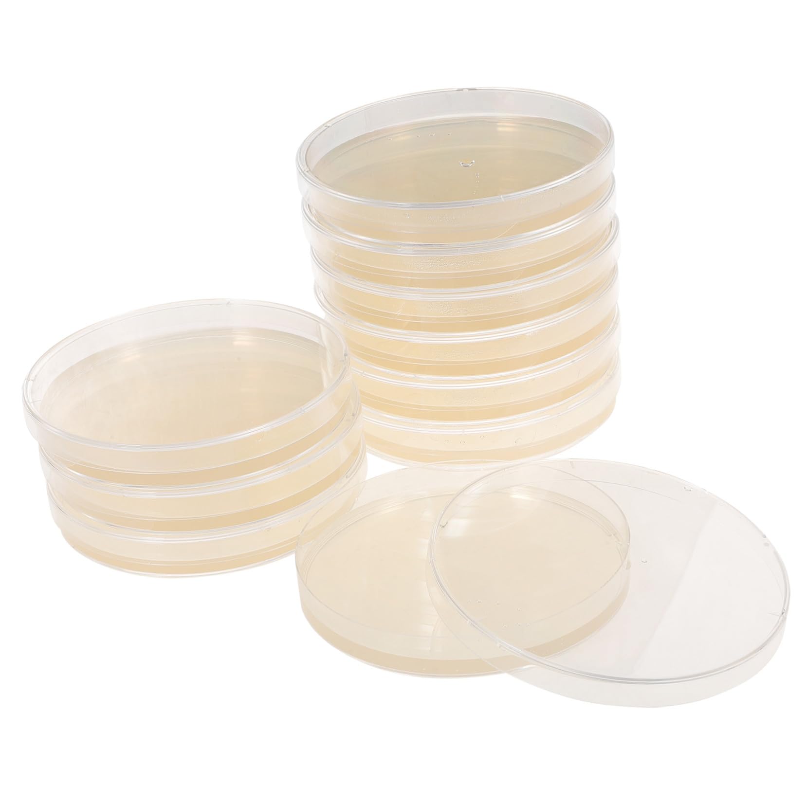 VALICLUD 10 pezzi Piastre Petri Agar Sterile per Crescita Tissutale e Esperimenti Scientifici Piatto Nutriente Portatile per Progetti Scolastici e Laboratorio