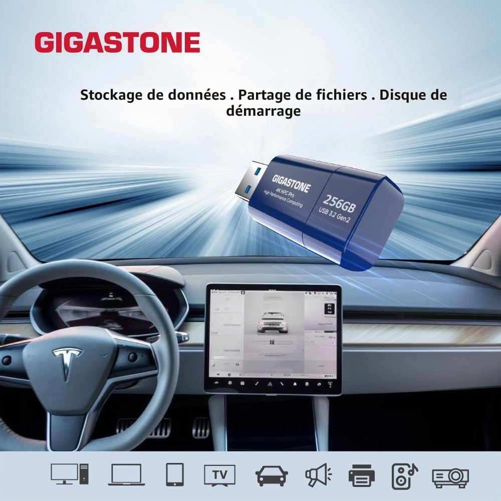 GIGASTONE Z80 Clé USB 3.2 Gen2 256 Go, R/W 1000/800 Mo/s HPC Calcul Haute Performance, Rétractable sans Capuchon Conception, Compatible avec Interface USB 2.0 / USB 3.0 / USB 3.1
