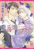 藍苺畑でつかまえて (ディアプラス文庫)