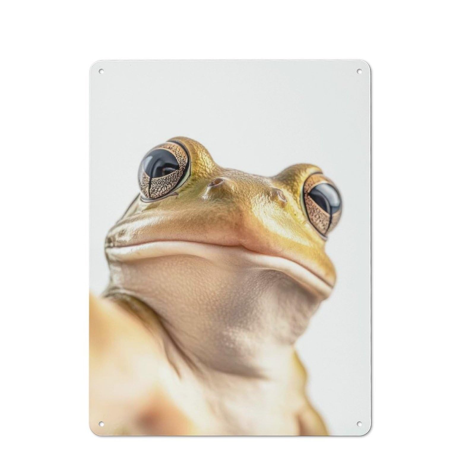 Junmoney Close-Up Frog Selfie Tin Wall Plaque 40X30cm With For Man Cave Or Games Room, For Garage, Workshop And Man Cave Decoration