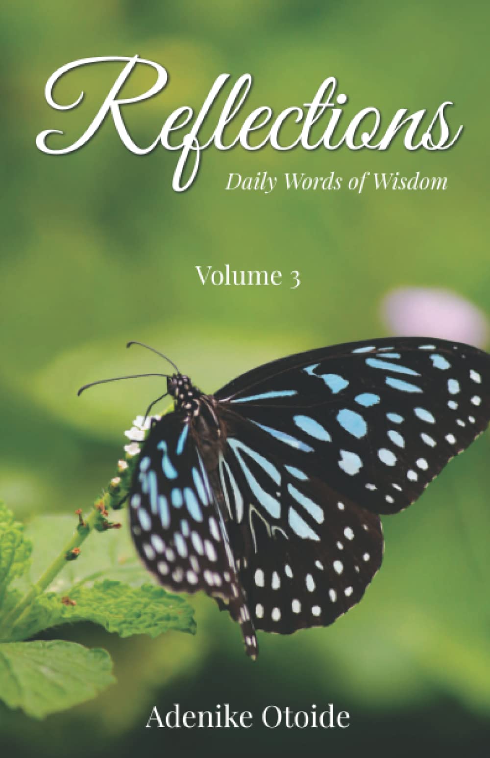 Reflections Volume 3: Daily Words of Wisdom
