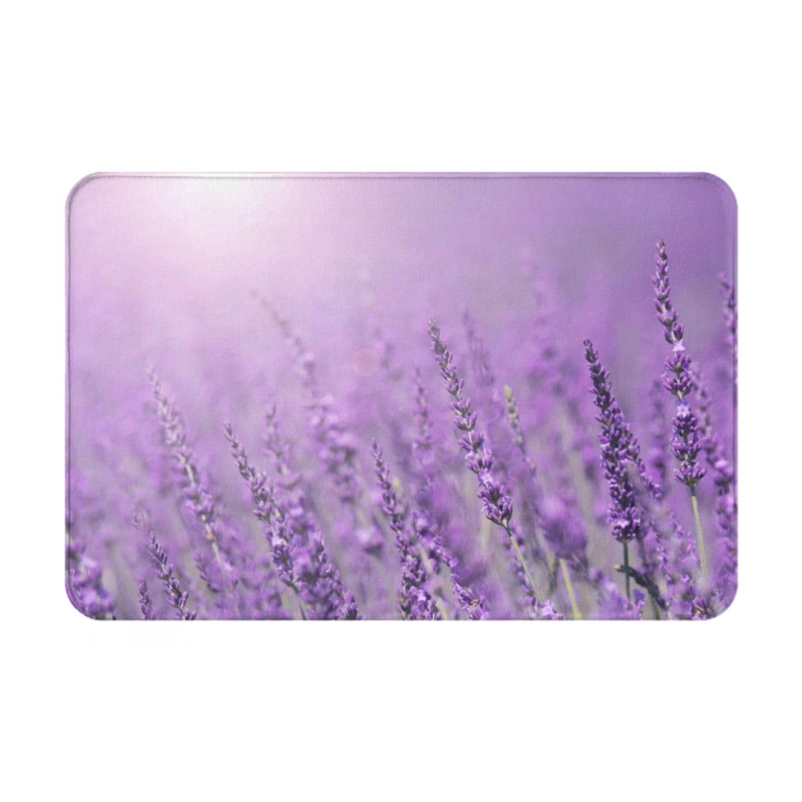 HAHAFU Romantic Purple Lavender Washable Rug 40x60cm,Printed Non-Slip Absorbent Soft Flannel Doormats Floor Mat Inside Outside