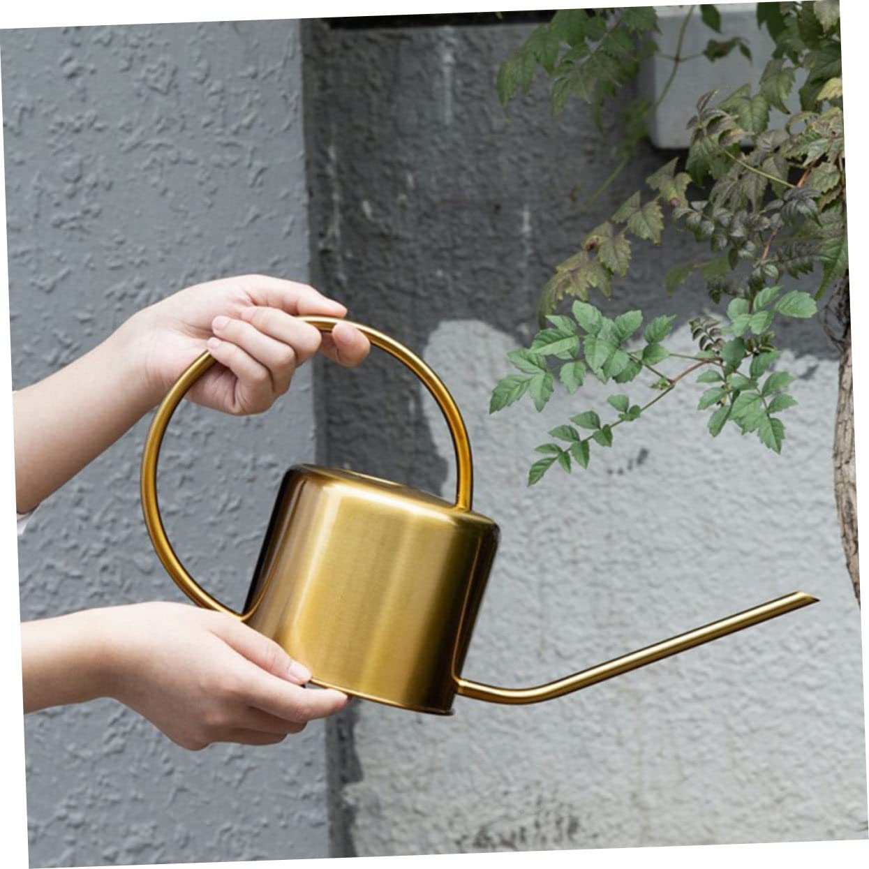 DOITOOL Arrosoir sans Fuite d'eau en Acier Inoxydable Poignée Ergonomique 1300ml Design Classique Doré pour Jardinage et Usage Domestique