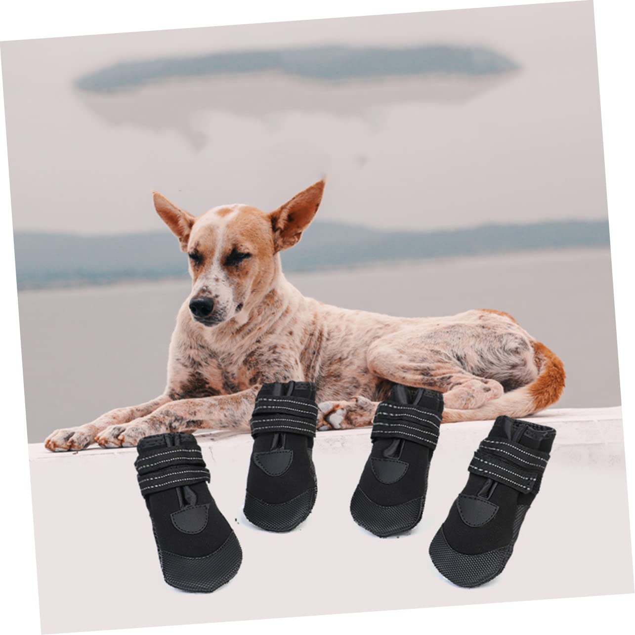 YARNOW Lot de 2 Paires de Chaussures pour Chien Chaudes Antidérapantes Réfléchissantes Doubles Confortables pour La Plongée 4 Pièces