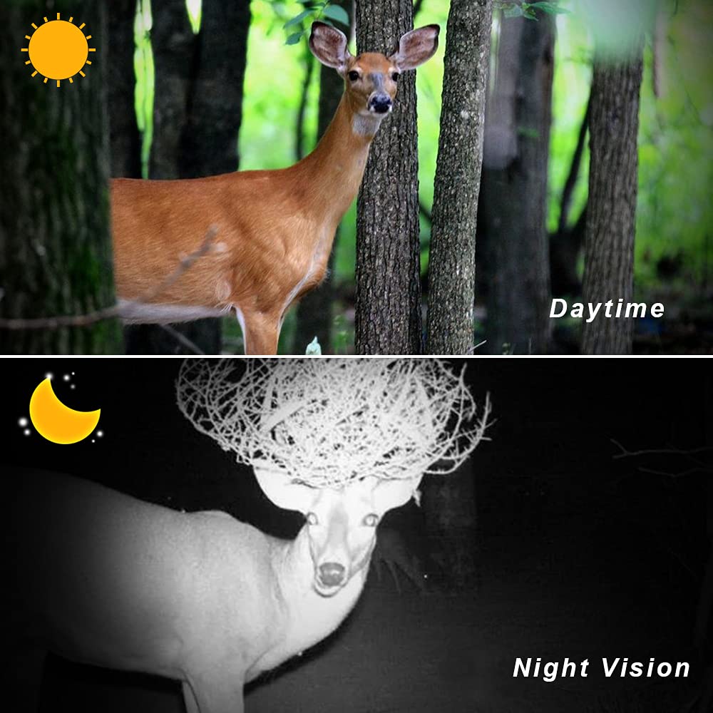 Lunette de visée à Vision Nocturne numérique Infrarouge 850nm avec caméra de Chasse à portée Nocturne et écran de 5popour Fusil de Chasse à air comprimé, Noir