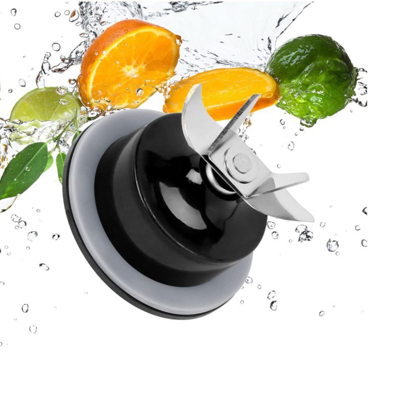 Stainless Steel Cutting with Gasket Assemblyfor Beach 908 909 939 56221 56222 54221 990140200 Commercial B