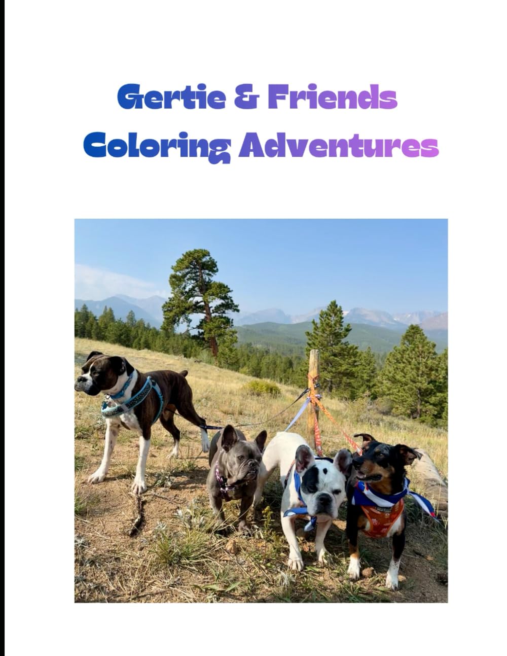 Gertie & Friends Coloring Adventures