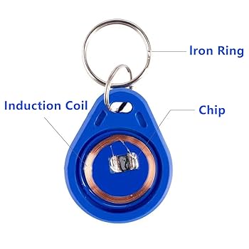 ☆nff☆ ribbon objet key ring nff1 FMF 1973 OVAL KEYCHAIN – FMF Racing