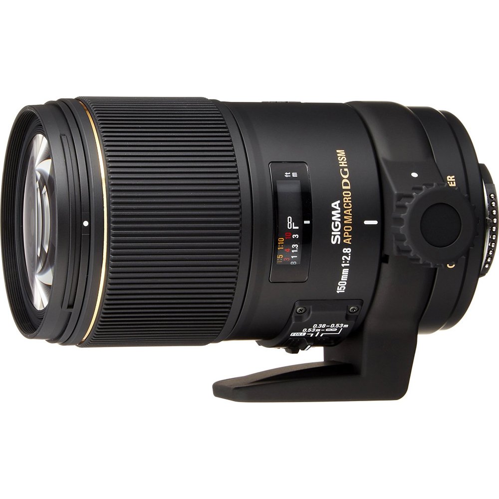 Amazon.co.jp: Sigma 150mm F2.8 EX DG OS HSM APO Macro : Electronics