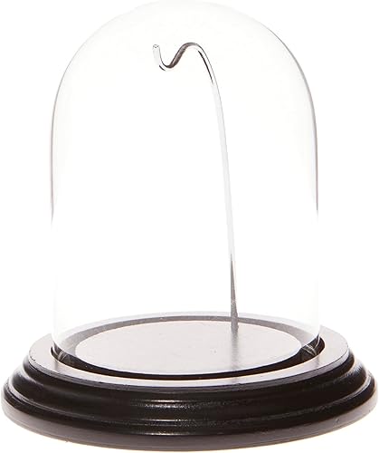 Miniatura 4 de Plymor vitrinas de cristal de exposición, con forma de campana, con alambre de latón, 3x4 pulgadas