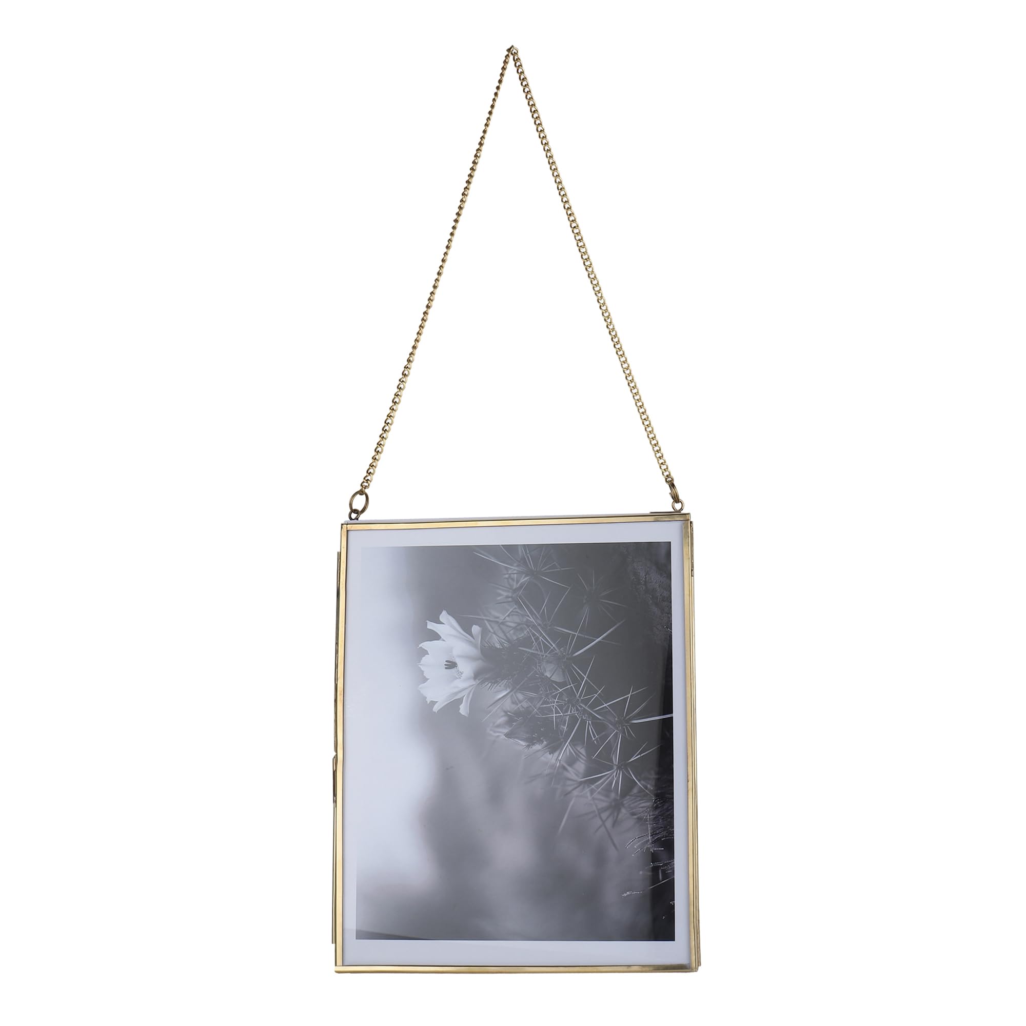 Fenzo Vintage Style Portrait Brass & Glass Hanging Frames for Photos, Artwork, & Pressed Leaves, Floating Display Frames, Elegant Design for Home Living Room Decor (Gold, 8x10 Portrait)